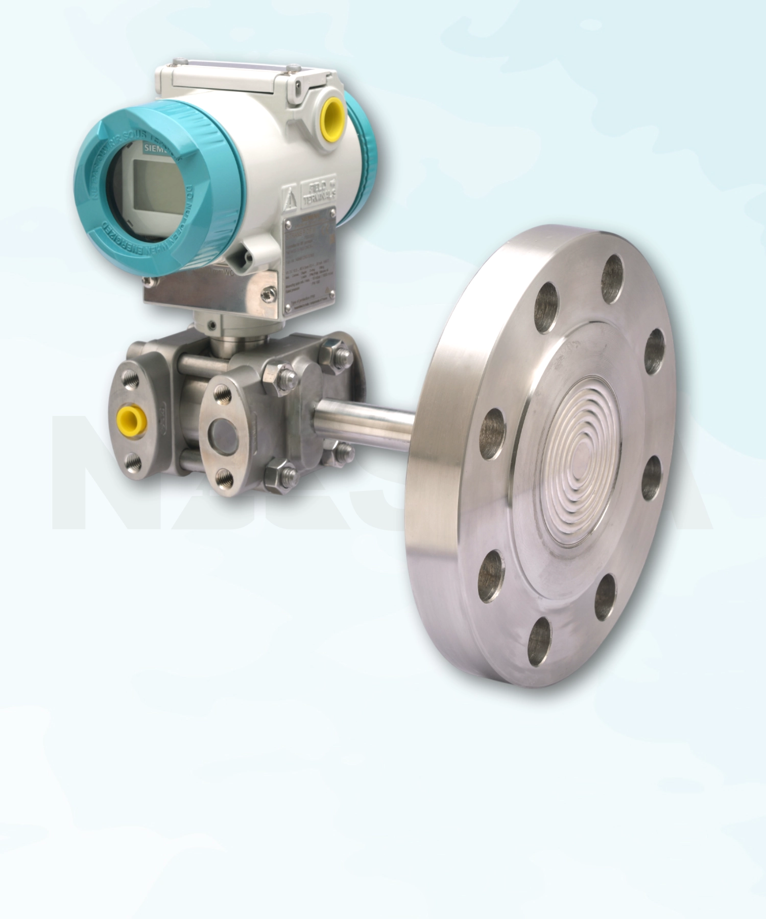 Flush Remote Seal Level Transmitter